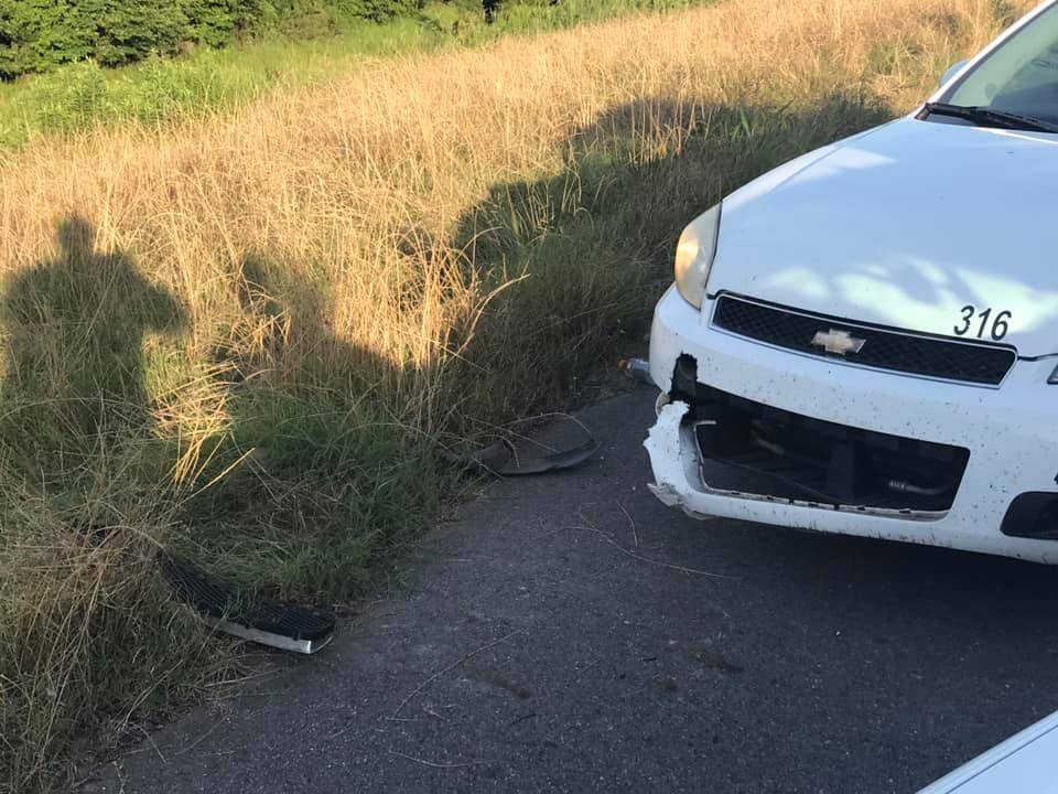 Sheriff’s deputies in Louisiana say an alligator took a bite out of one of their patrol cars ...