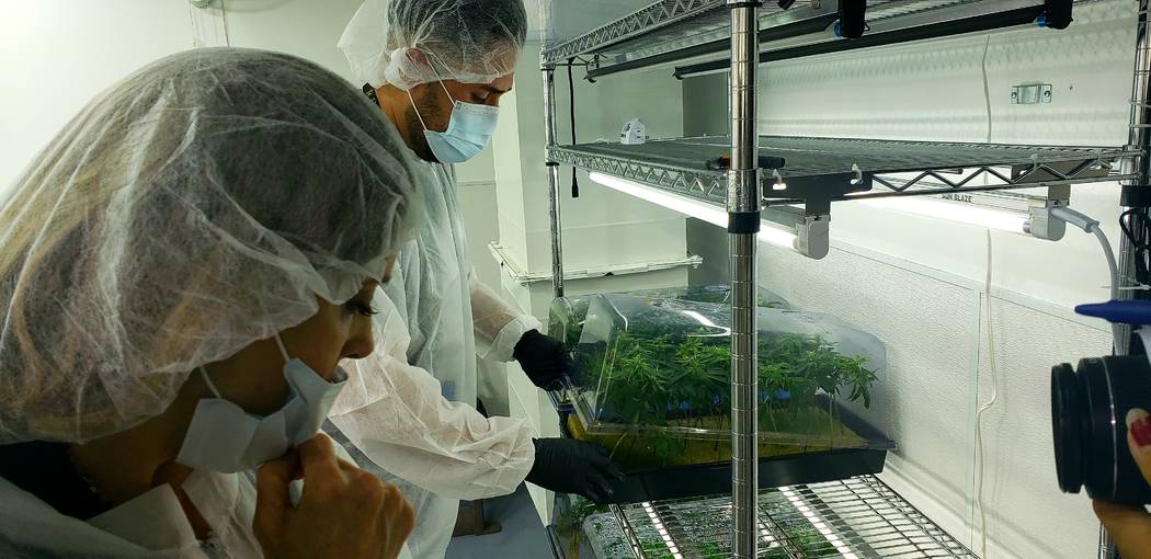 Democratic presidential hopeful Marianne Williamson, left, listens to Premium Produce facilitie ...