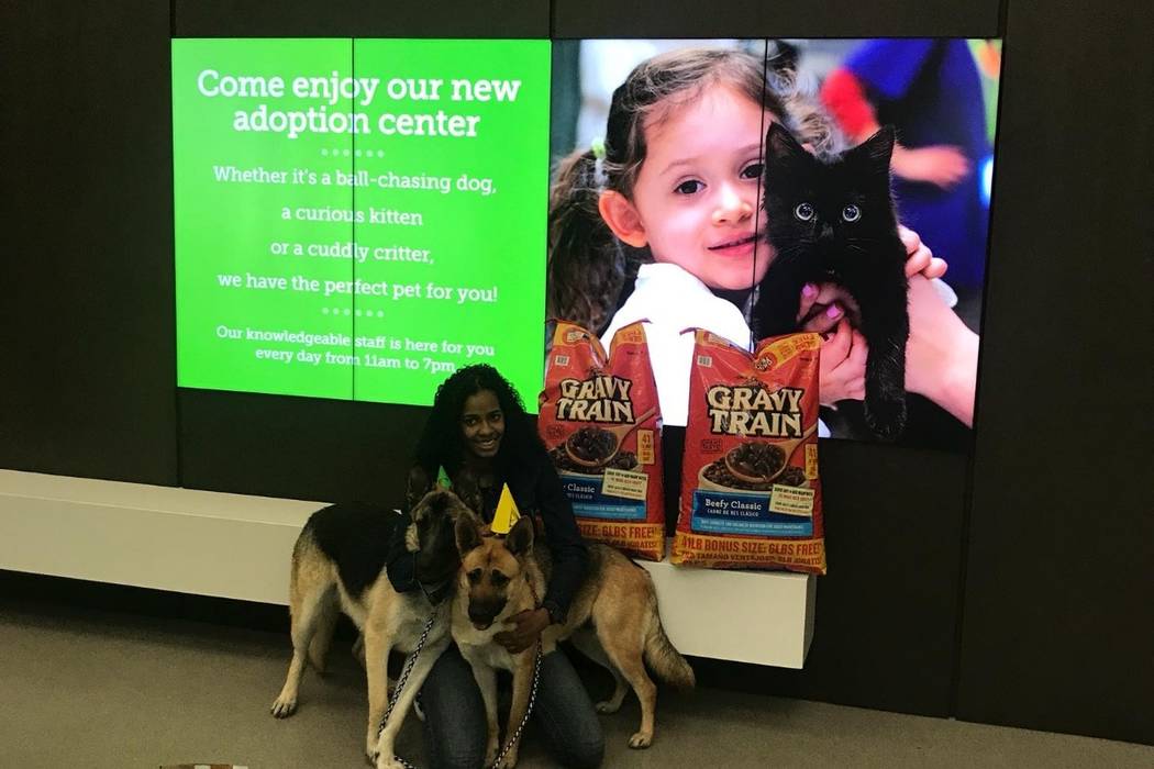 Ines Diaz with her two German shepherds, Tyger and Aria. (GoFundMe)