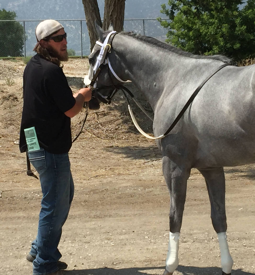 Trainer Mark Hanson readies a horse at the White Pine Races on Sunday, August 19, 2018 in Ely. ...