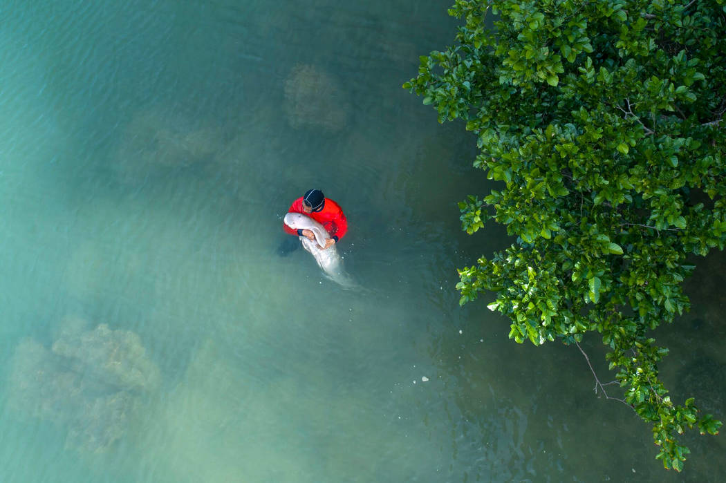 In this Thursday, May 23, 2019, photo, an official of the Department of Marine and Coastal Reso ...