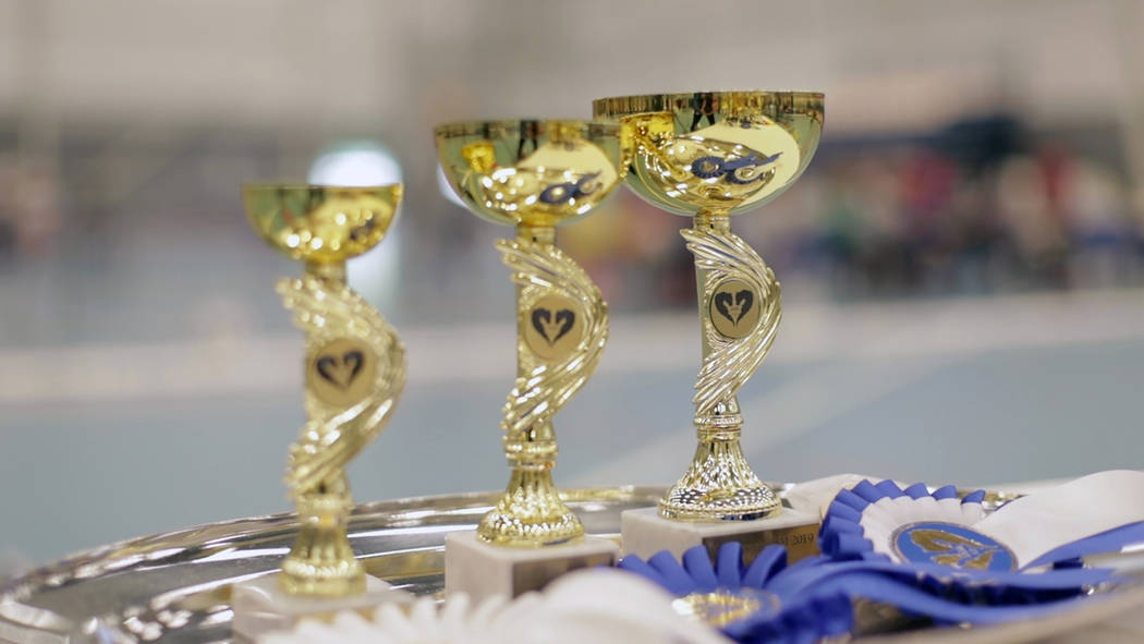 Awards stand on a tray ahead of the awarding ceremony of the 8th Hobby Horse championships in S ...