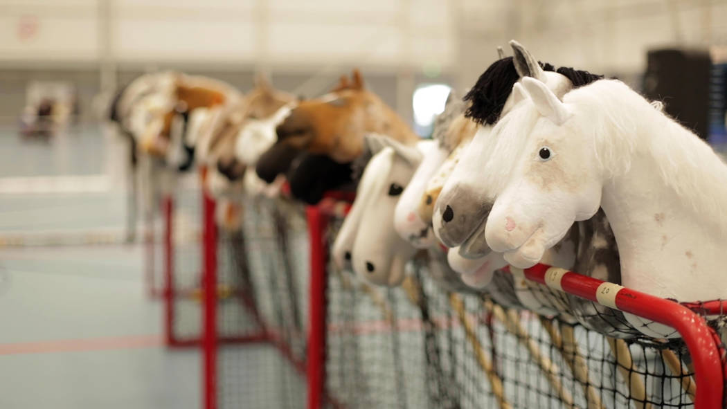 Dozens of hobby horses are lined up ready to be ridden during the 8th Hobby Horse championships ...