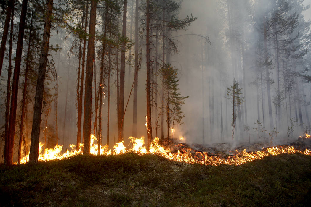 In this Sunday, July 15, 2018, file photo a wildfire burns in Karbole, outside Ljusdal, Sweden. ...