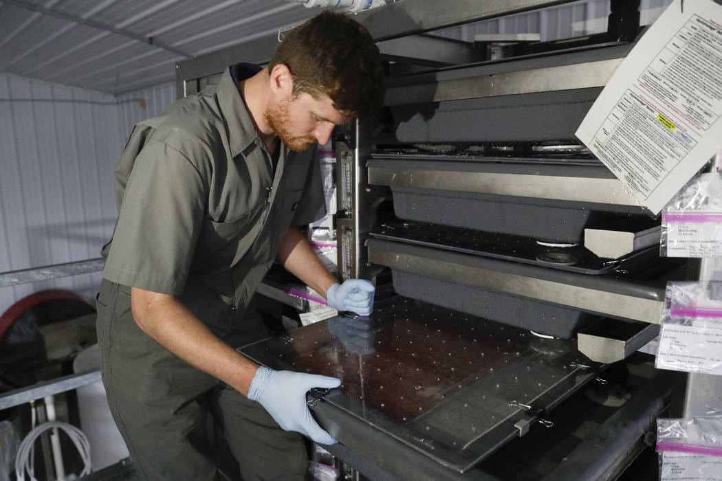 Peter Bowyer, the facility manager at AquaBounty Technologies, checks on the newly hatched Atla ...