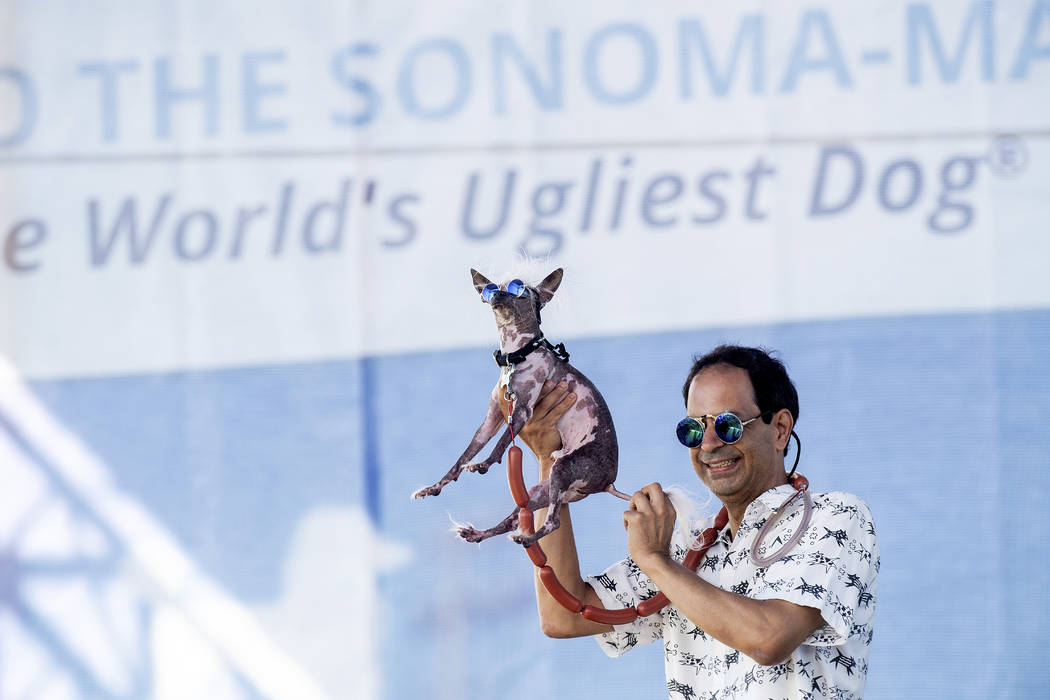 Dane Andrew holds Rascal aloft while competing in the World's Ugliest Dog Contest at the Sonoma ...