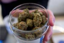 A bud tender shows a top cannabis strain at Serra, a dispensary in Portland, Ore., in February ...