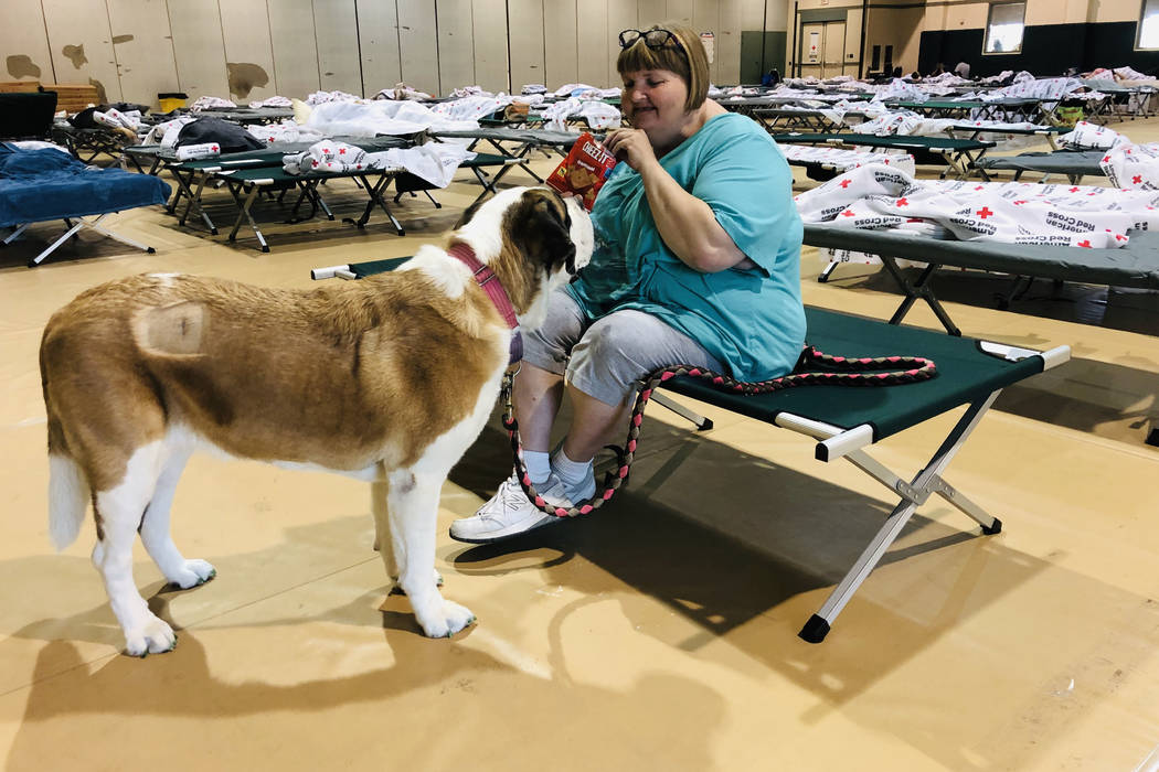 April Hamlin feeds her dog Duchess some crackers in a Red Cross shelter set up for anyone with ...