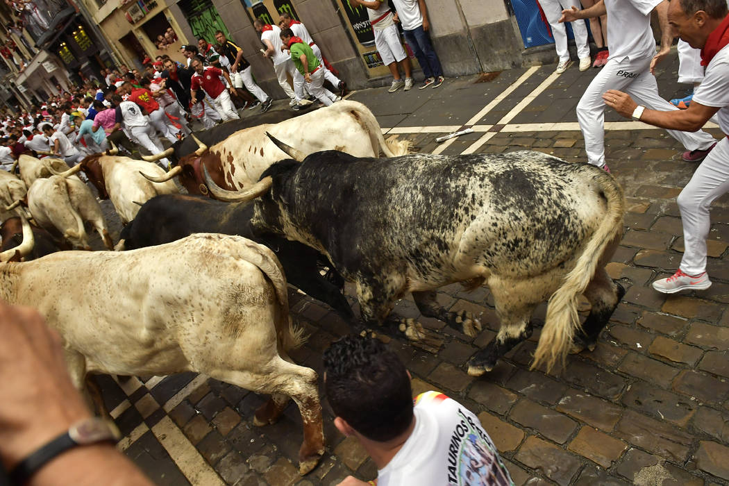 Revellers run next to fighting bulls from Cebada Gago ranch during the running of the bulls at ...