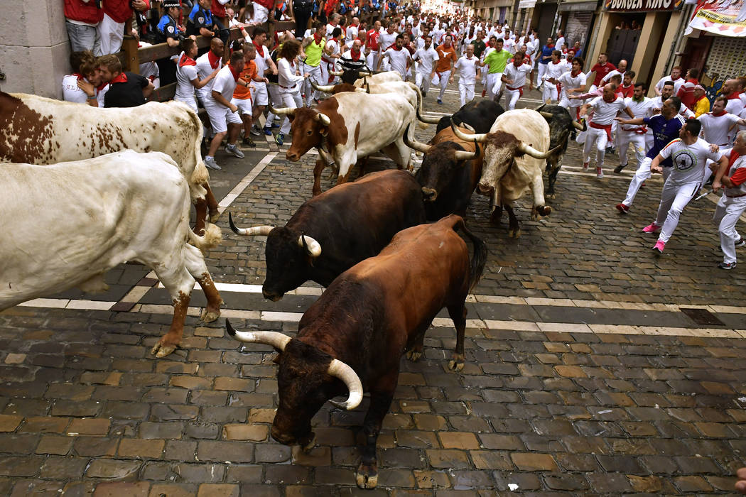 Revellers run next to fighting bulls from Cebada Gago ranch, during the running of the bulls at ...