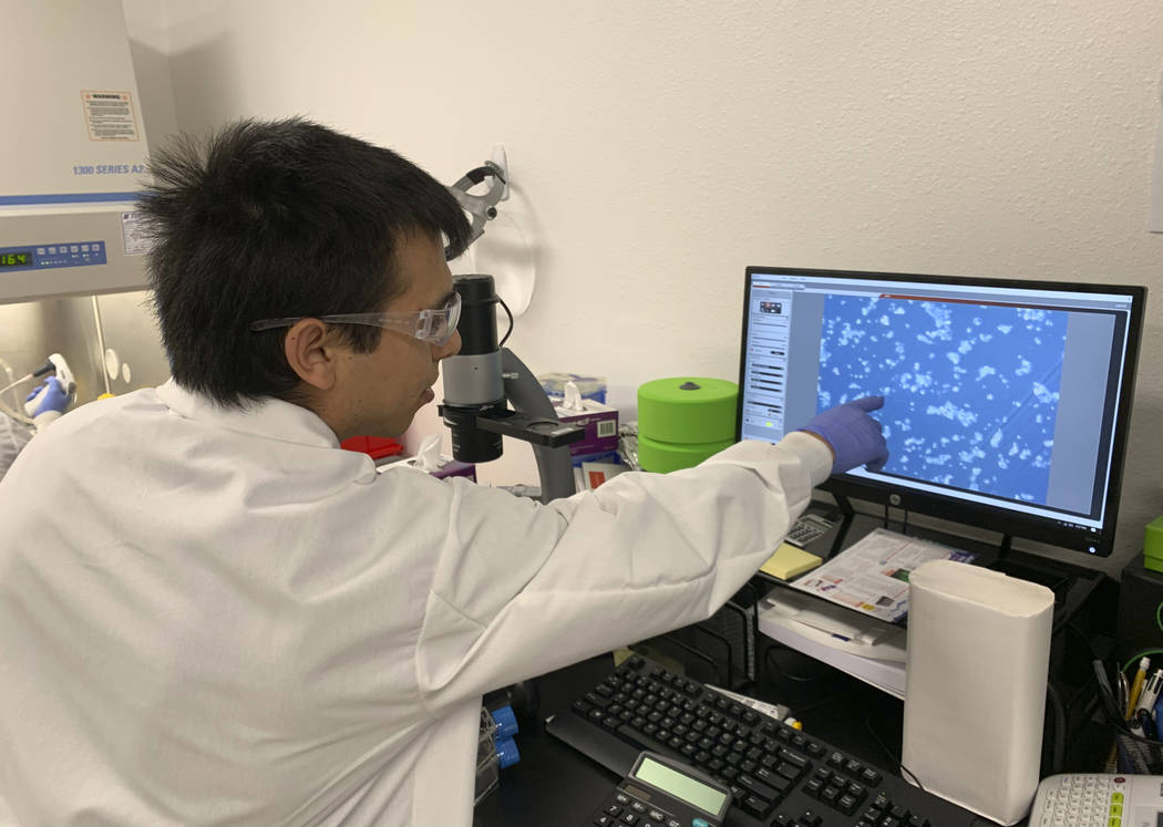 In this photo taken March 1, 2019, lab technician Ismael Montanez points to fish cells on scree ...