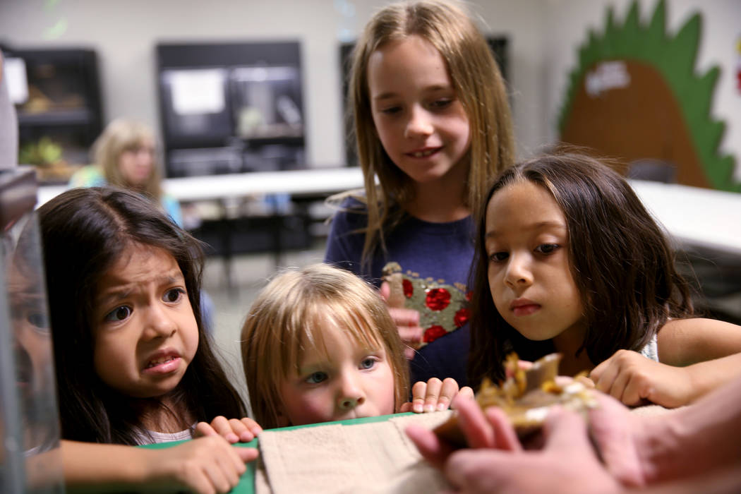 Renata Flores, 5, of Las Vegas, from left, Lake Dahlem, 3, of Henderson, Daylin Dahlem, 8, of H ...