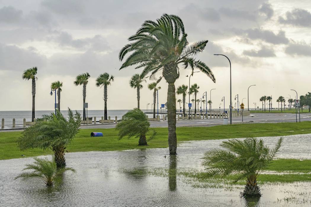 Wind blows through the trees as there is very little flooding from Lake Pontchartrain on Lakesh ...