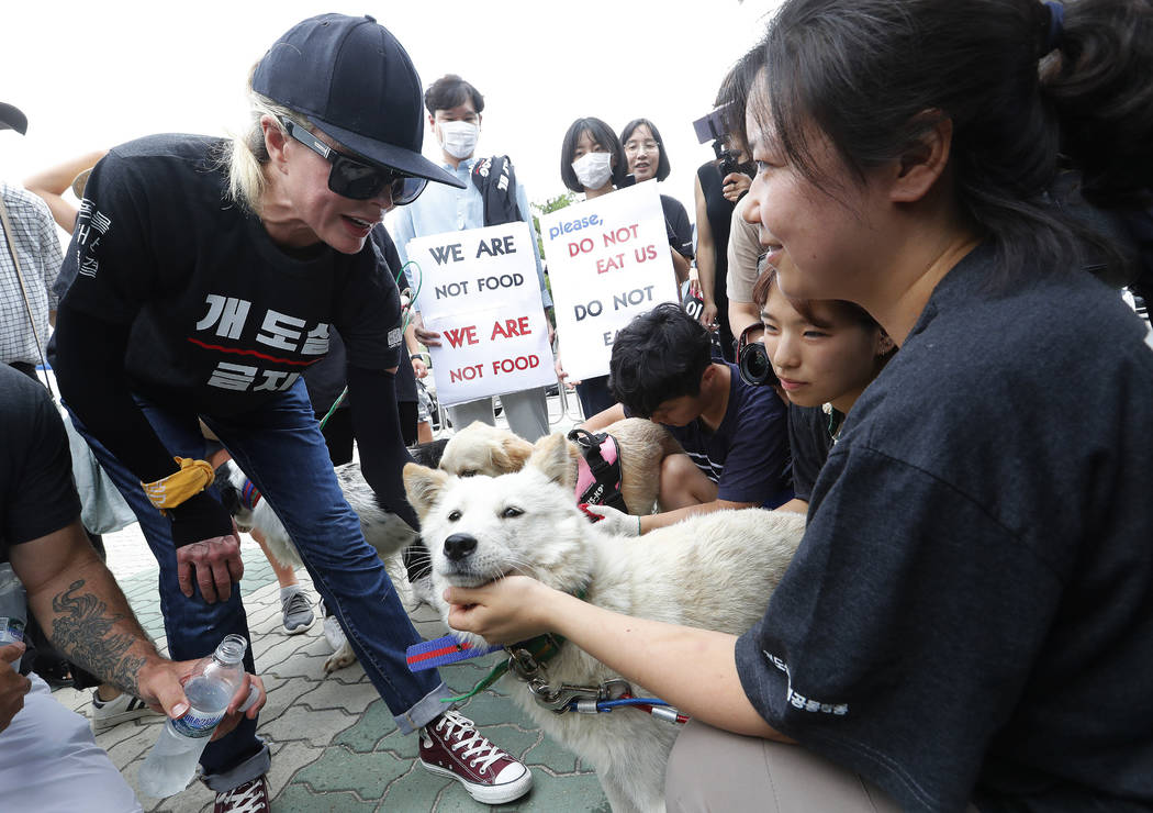 American actress Kim Basinger, left, watches a pet dog during a rally to oppose eating dog meat ...