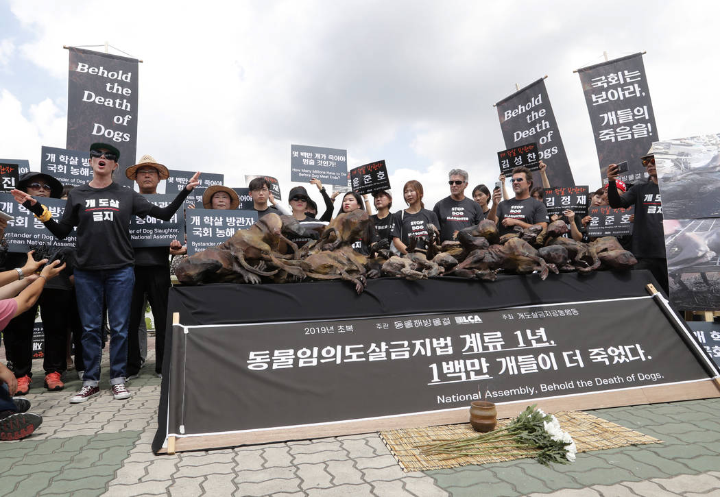 American actress Kim Basinger, left, speaks as members of the Last Chance for Animals with mode ...