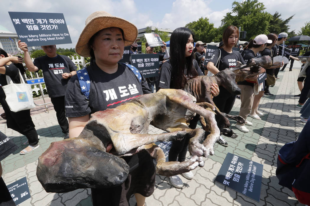 Members of the Last Chance for Animals hold models of slaughtered dogs during a rally to oppose ...