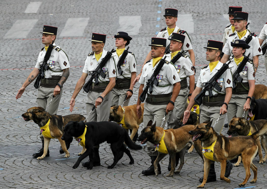 Soldiers of the 132 infantry march on the Champs-Elysees avenue during the Bastille Day parade ...