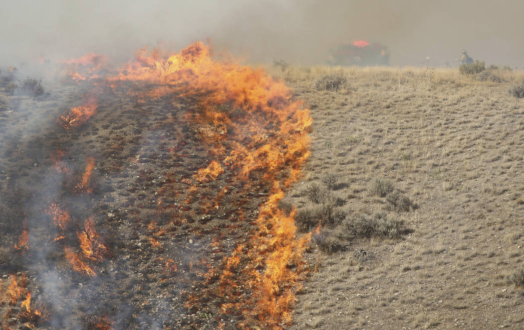 FILE - In this Sept. 15, 2018, file photo, firefighters battle a brush fire near Shaggy Mountai ...