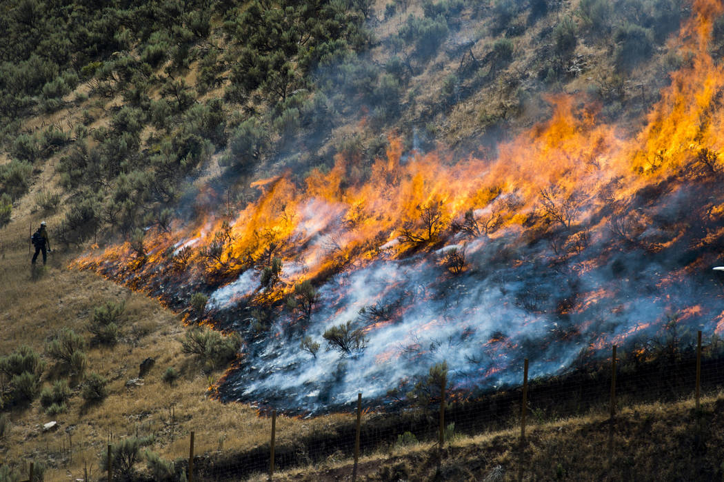 In a July 30, 2018, file photo, firefighters control the Tollgate Canyon fire as it burns near ...