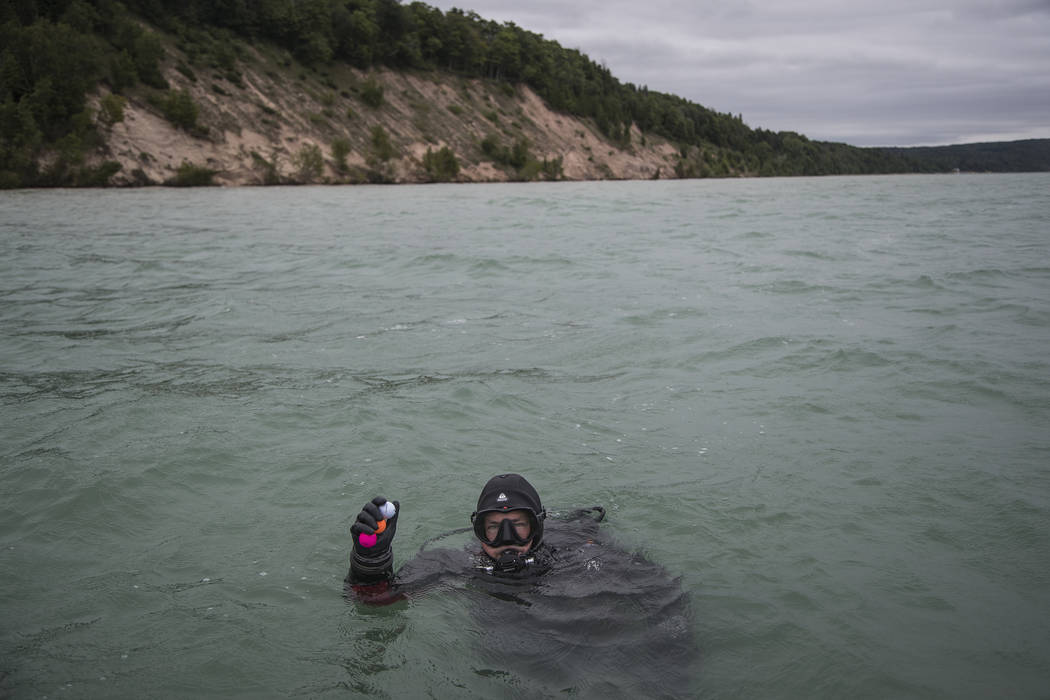 In a Thursday, July 11, 2019 photo, diver Chris Roxburgh of Traverse City picks up some golf ba ...