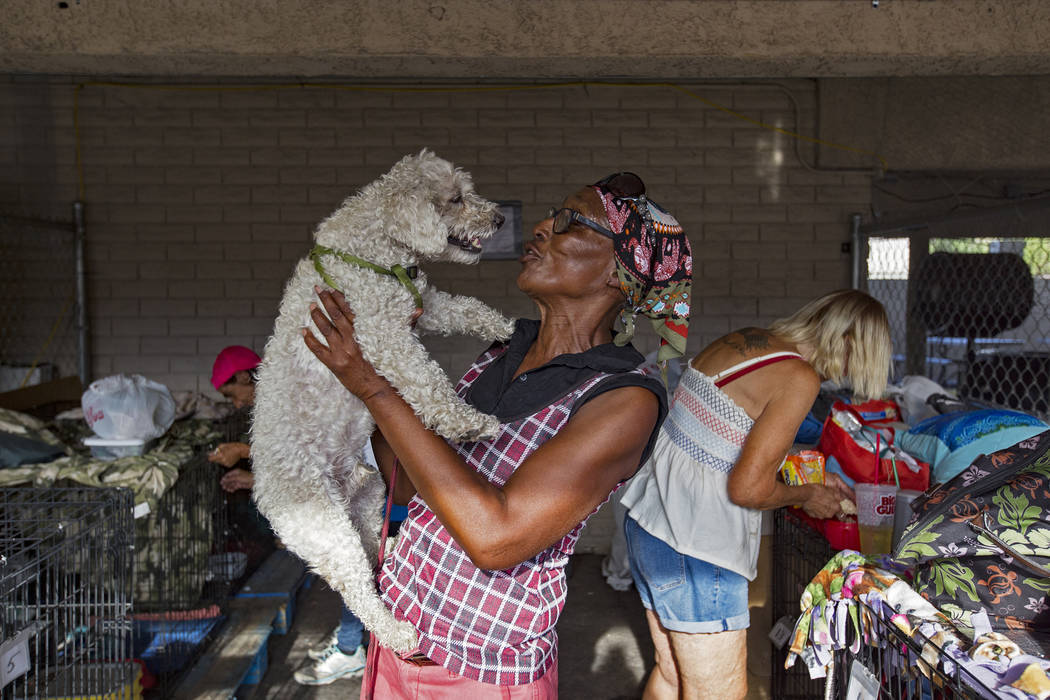 Brenda Shelton holds her dog Alvin at the Courtyard Homeless Resource Center in Las Vegas, Wedn ...