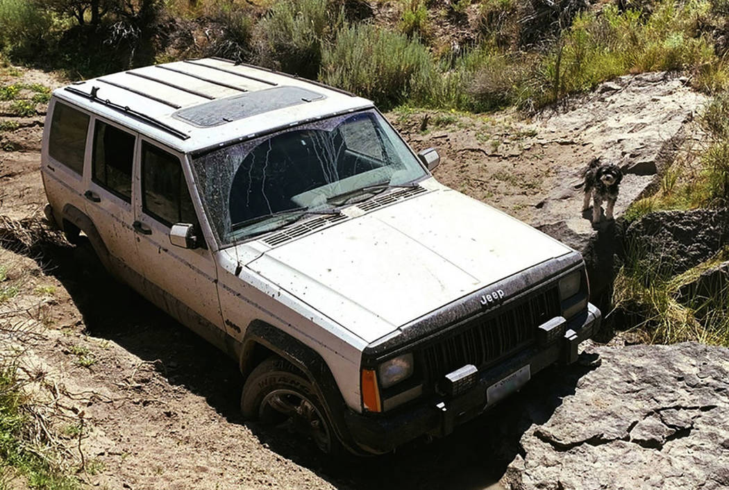 A jeep and dog belonging to a 73-year-old man who was found by a mountain biker on July 18, 201 ...