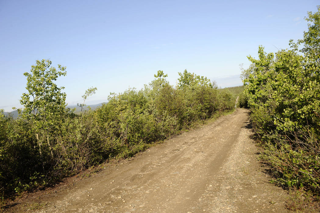 The Stampede Road becomes a narrow, rutted four-wheel drive trail after eight miles from its in ...