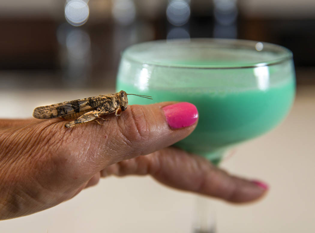 Grasshopper drink with grasshopper hanging out nearby by bartender Sarah Contois at the Smashed ...