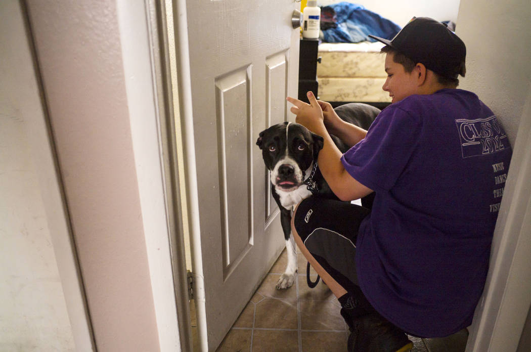 Fifteen-year-old Ryan Lauer checks on his dog, Cookie, at home near downtown Las Vegas on Thurs ...