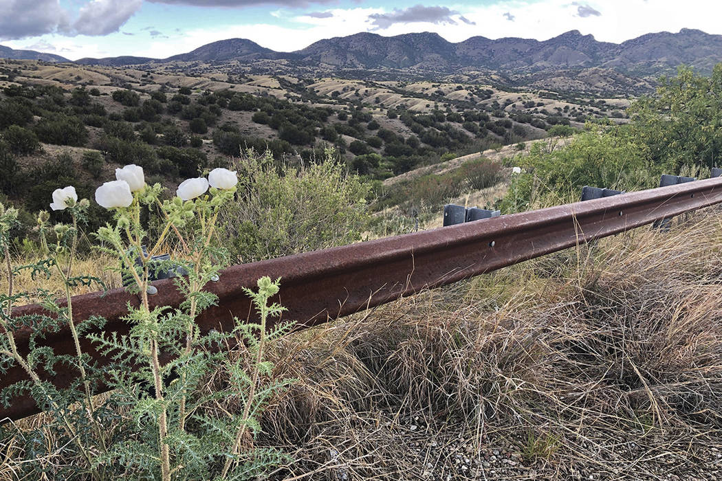 FILE - This file photo taken Monday, May 12, 2019, off Arizona scenic state Highway 83 shows th ...