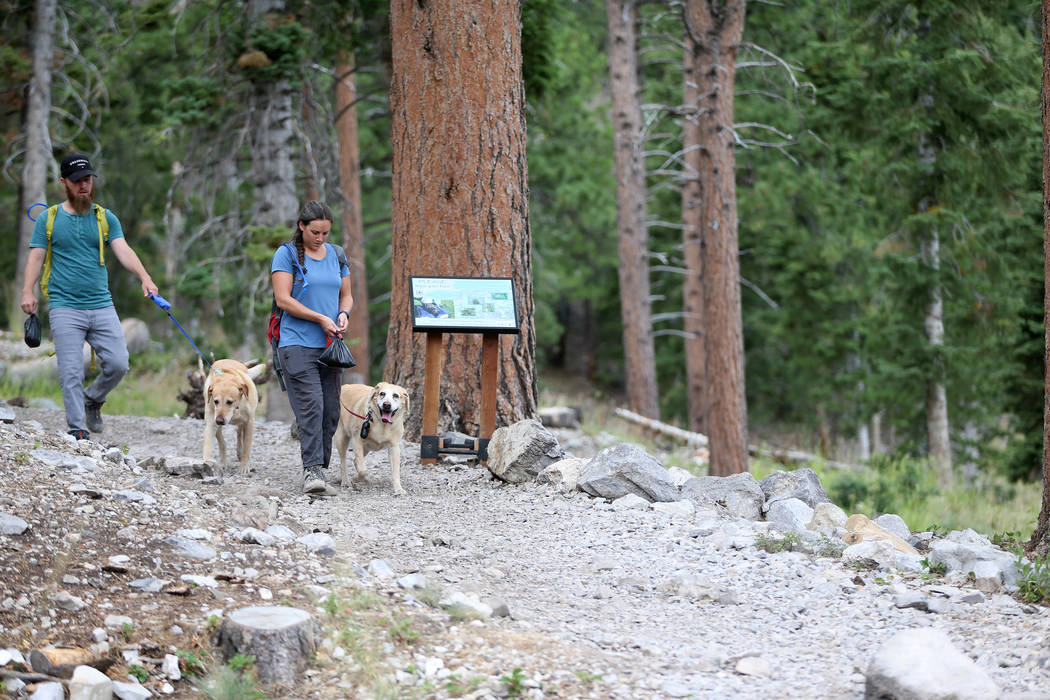 Ian Clark, left, with his wife Lisa, and their dogs Kirby and Kali, hike in Mt. Charleston, Tue ...