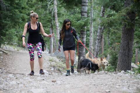Las Vegas residents Laura Mitchell, left, with her friend Mehka Klimer, and her friend's dogs R ...