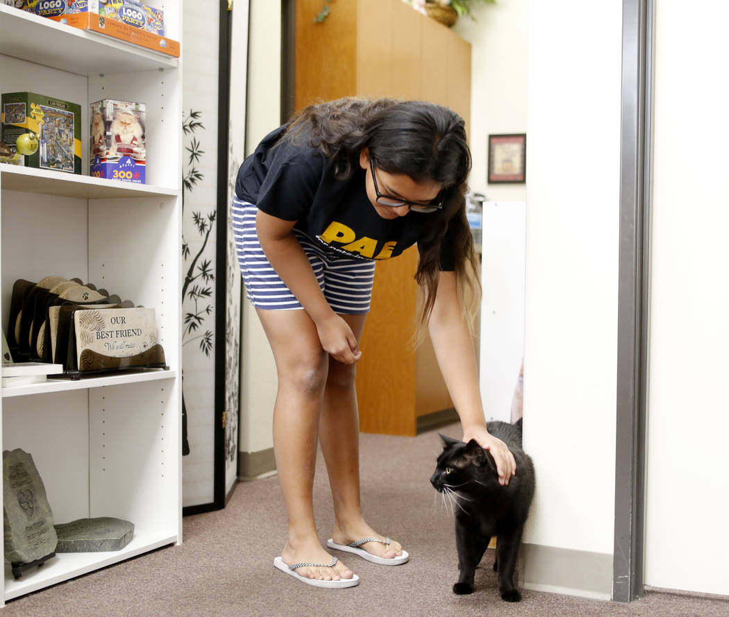 Anaisa Maestas, 13, pets an adoptable cat at the Rescued Treasures Cat Cafe, Tuesday, Aug. 6, 2 ...