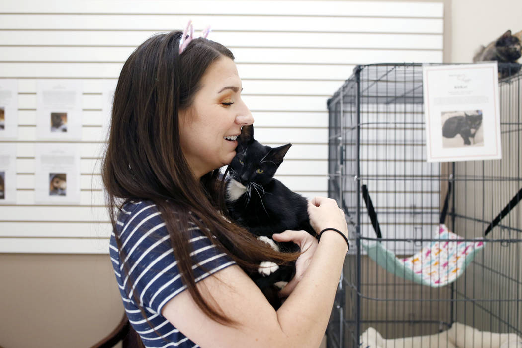 Volunteer Kali Waddilove holds an adoptable kitten at the Rescued Treasures Cat Cafe, Tuesday, ...