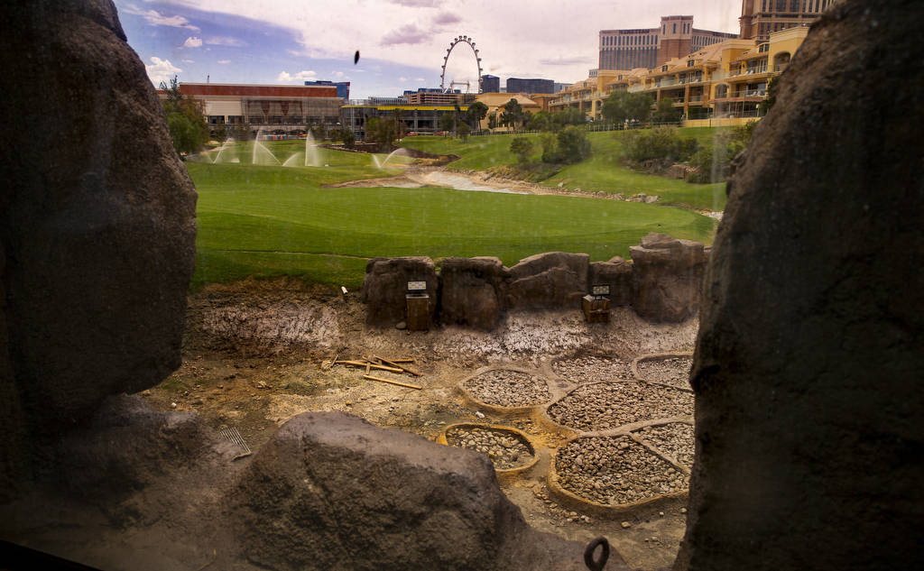 The waterfall and stream features are shown under construction at Wynn Golf Club on Tuesday, Ju ...