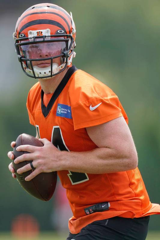 Cincinnati Bengals quarterback Andy Dalton (14) prepares to throw the ball during NFL football ...