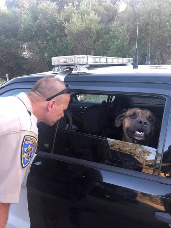 In this Sunday, Aug. 11, 2019 photo provided by the California Highway Patrol Placerville shows ...