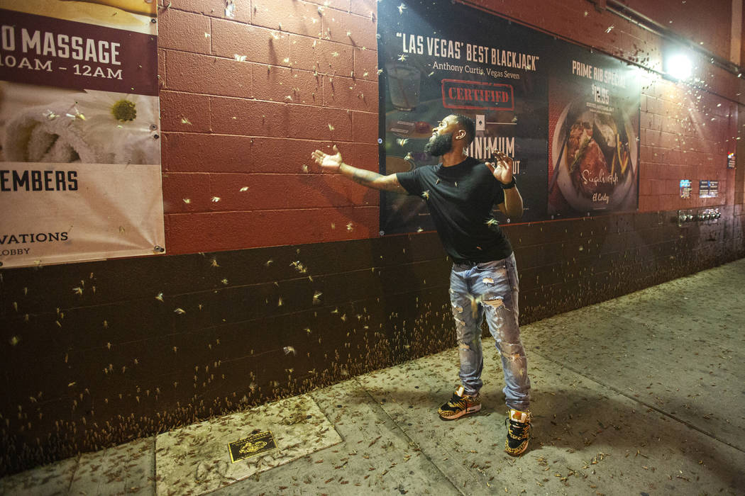 Dorian Williams from Houston checks out the grasshoppers outside the El Cortez in downtown Las ...