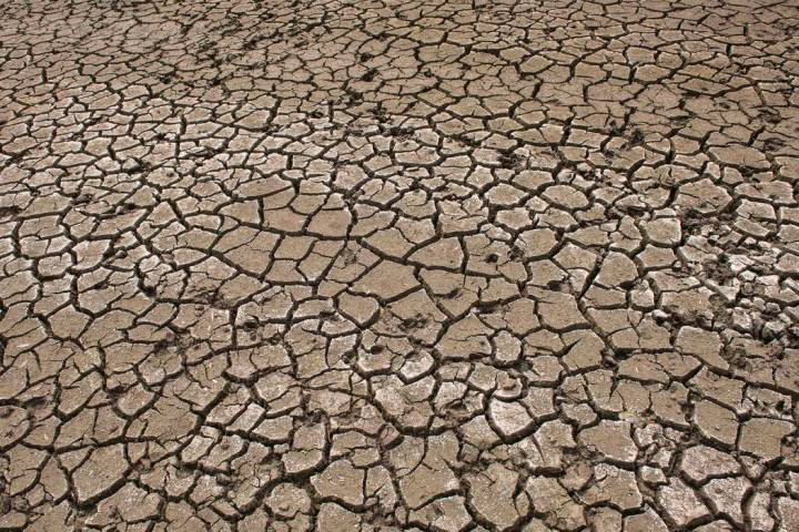 A file photo dated Tuesday, Aug. 6, 2019, shows cracks formed between animal tracks in the drie ...