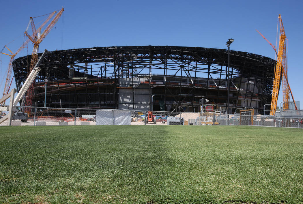 Several types of grass are seen outside Allegiant Stadium on Friday, Aug. 16, 2019, as the stad ...