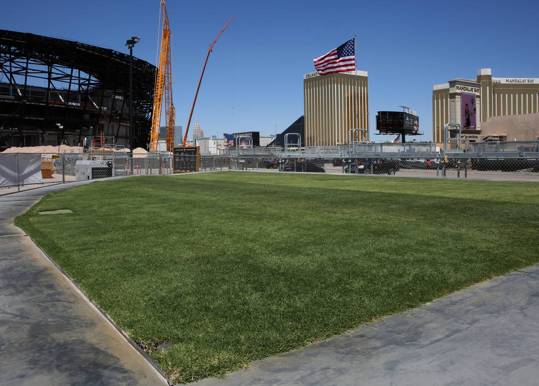 Several types of grass are seen outside Allegiant Stadium on Friday, Aug. 16, 2019, as the stad ...