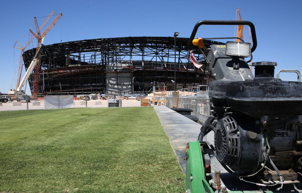 Several types of grass are seen outside Allegiant Stadium on Friday, Aug. 16, 2019, as the stad ...