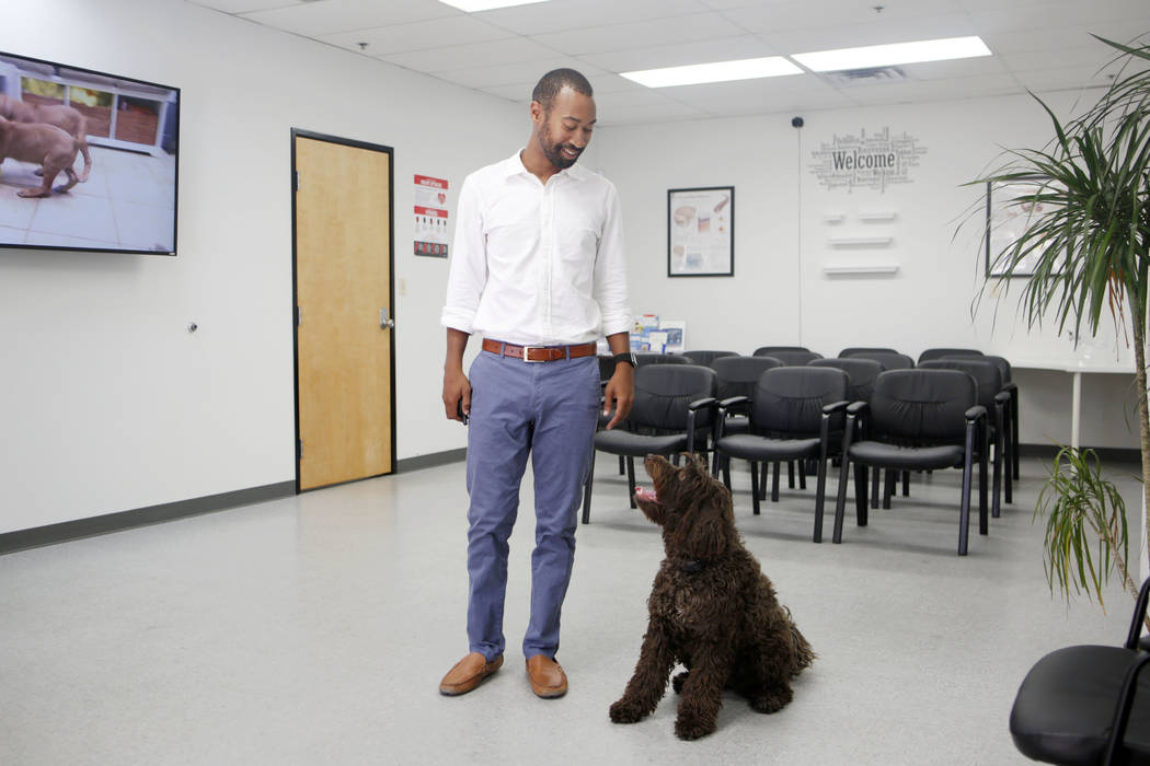 CEO of Silver State Health Ryan Linden with his dog, Murphy, the Silver State Health clinic lob ...