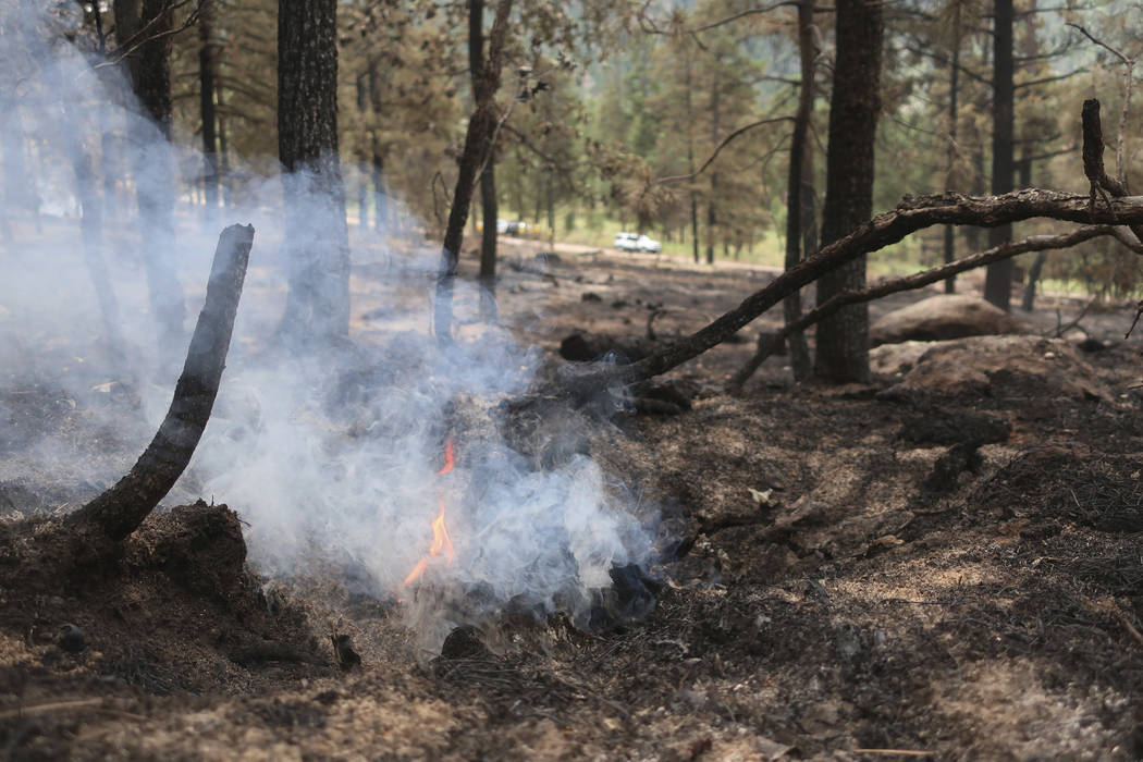 A tree stump smolders in an area scorched by fire in the Coconino National Forest near Flagstaf ...