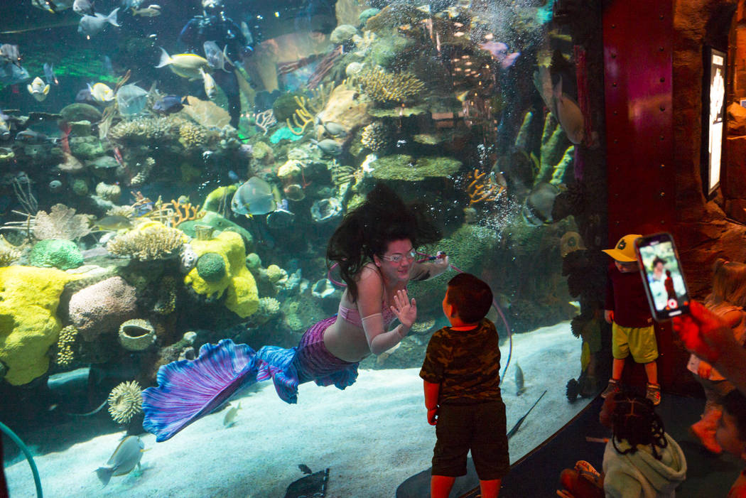 McKenzie Kawano, who works as a mermaid at the aquarium at the Silverton, left, waves at young ...