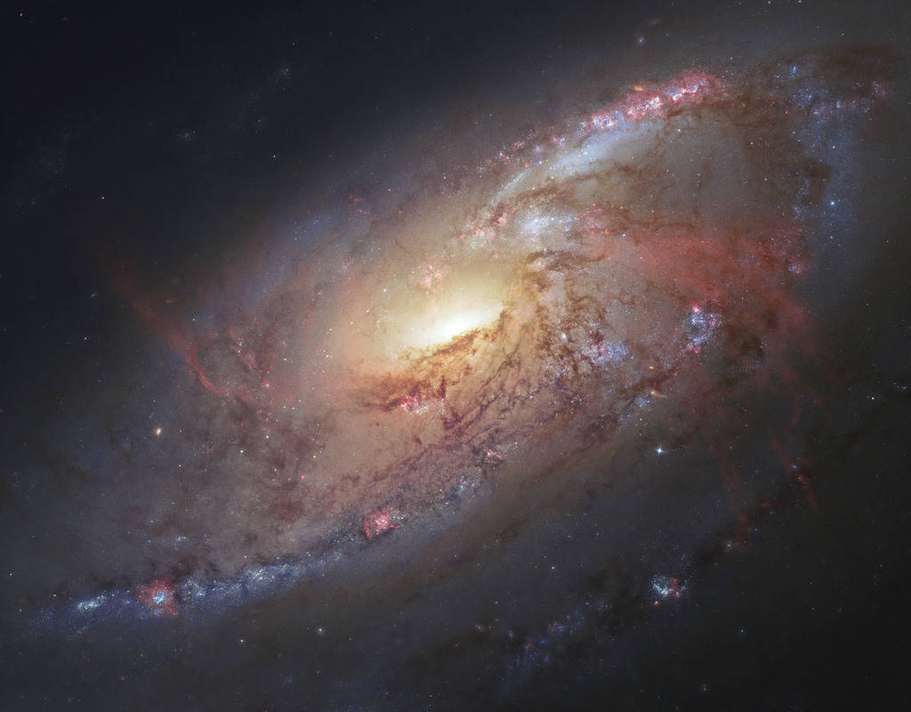 This image shows M106 with additional information captured by amateur astronomers. (STScI/AURA) ...