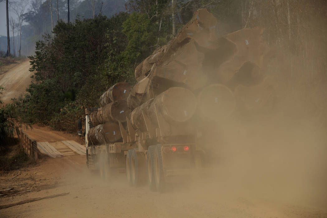 A truck carries logs amid forest fires along the road to Jacunda National Forest near the city ...