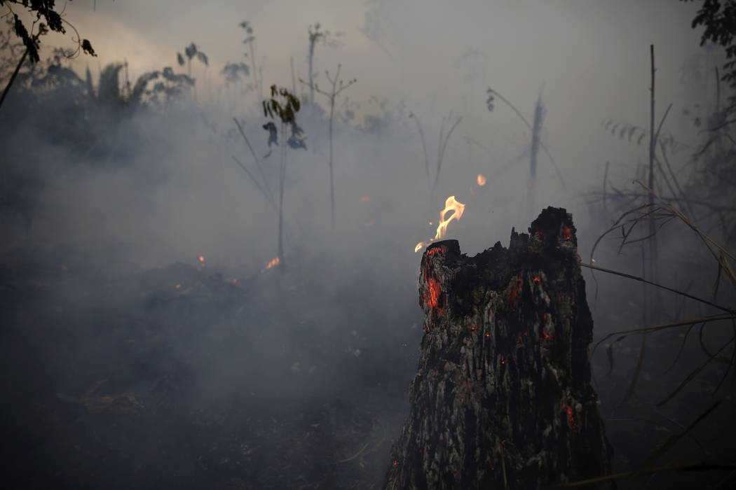 A tree stump glows with fire amid smoke along the road to Jacunda National Forest, near the cit ...