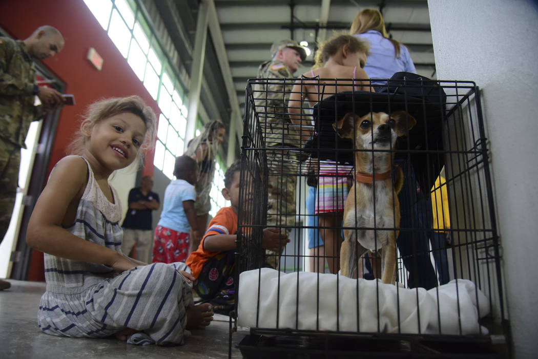 Residents gather at the William Rivera Vocational School converted into a temporary shelter, be ...