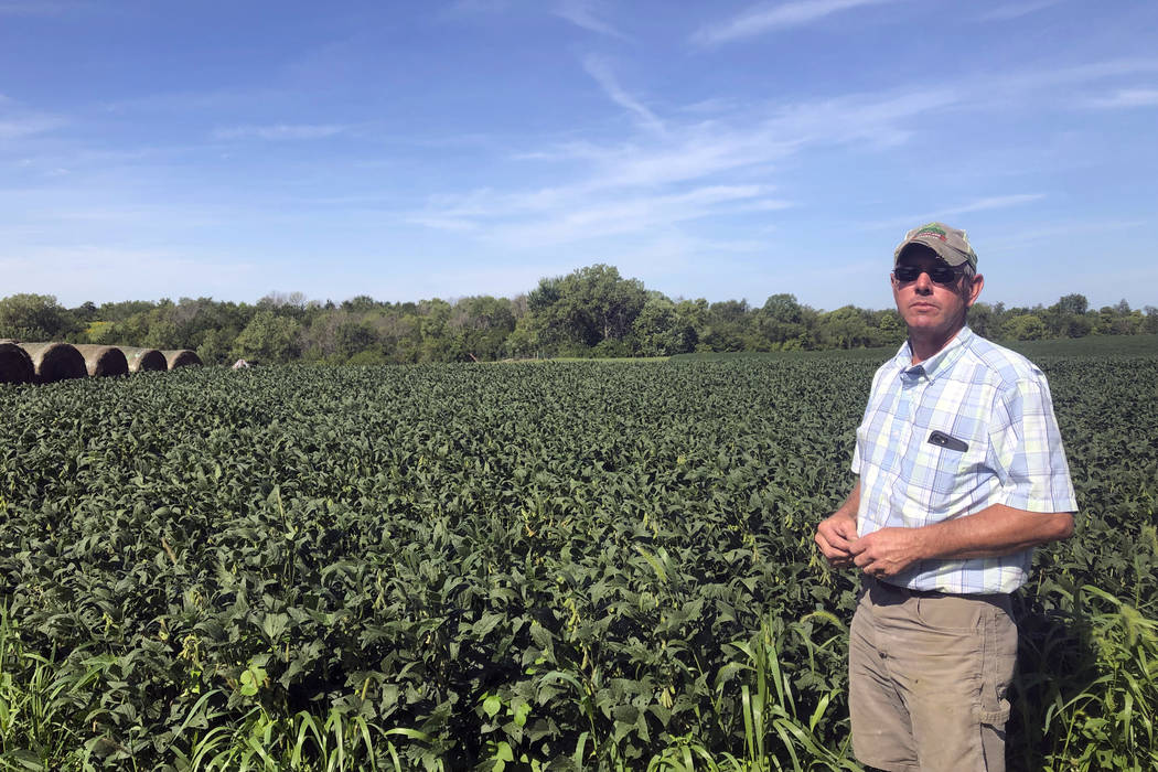 Farmer Randy Miller is shown with his soybeans, Thursday, Aug. 22, 2019, at his farm in Lacona, ...